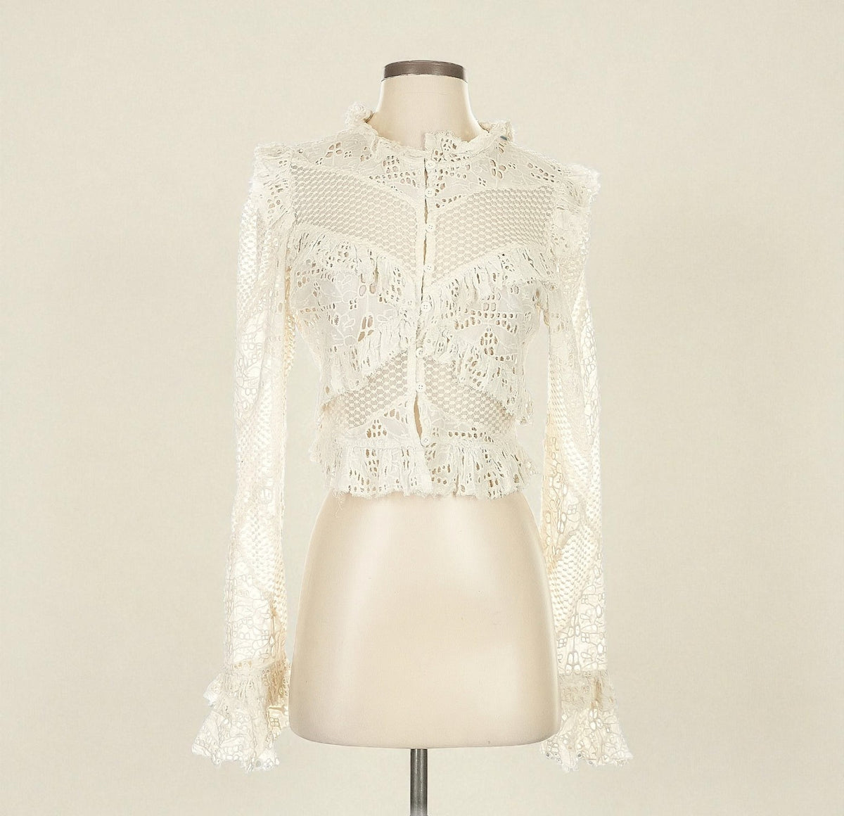 Embroidered Lace Cropped Blouse (Size Small) image 0