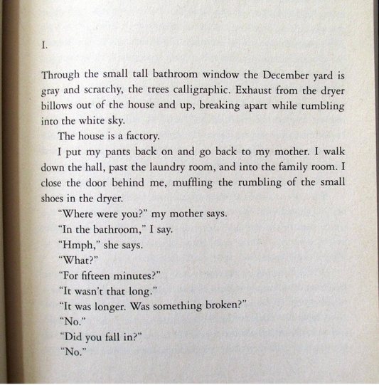 A Heartbreaking Work of Staggering Genius | Paperback