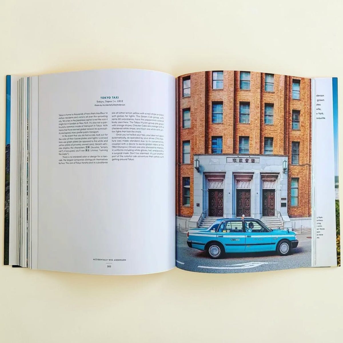 Accidentally Wes Anderson | Hardcover