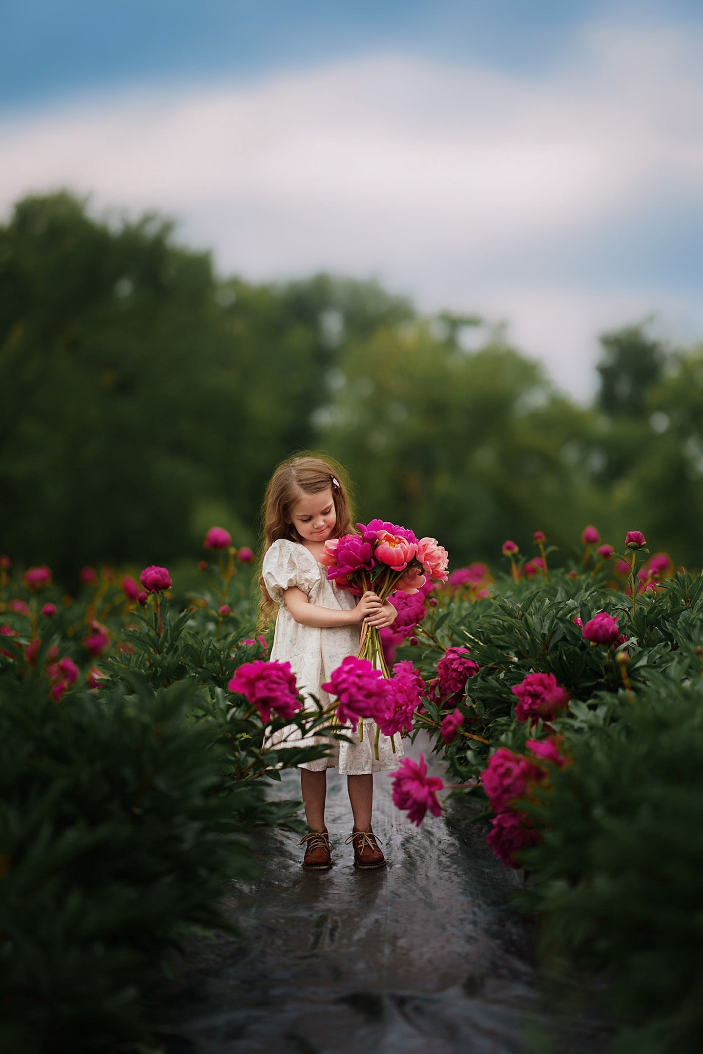 Weekend Dress | Cottage Floral