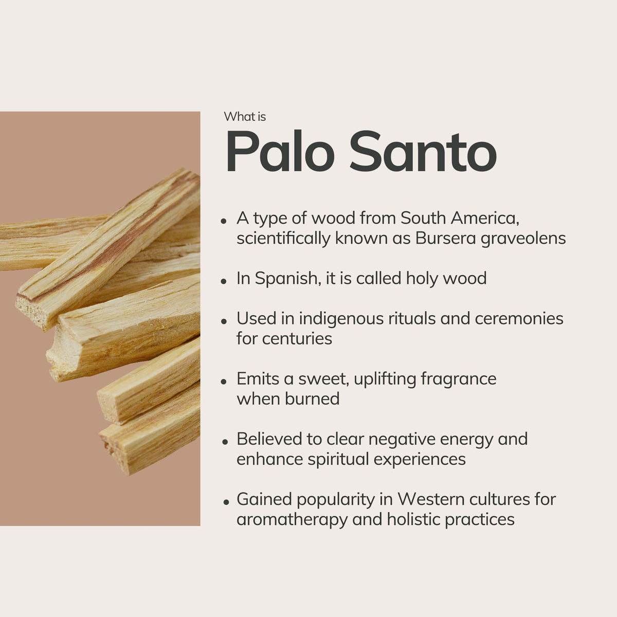 Palo Santo Hand-Rolled Incense Sticks | 7 Sticks