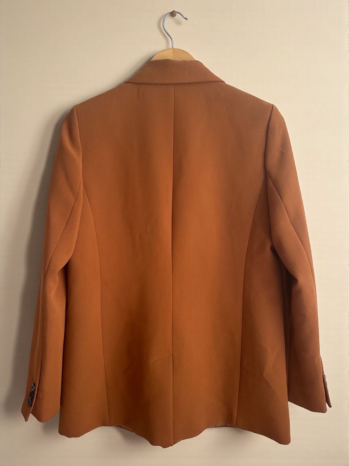 Tan Oversized Blazer (Size 8) image 2