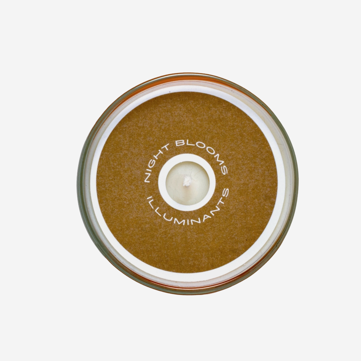 Prickly Wild Rose Candle