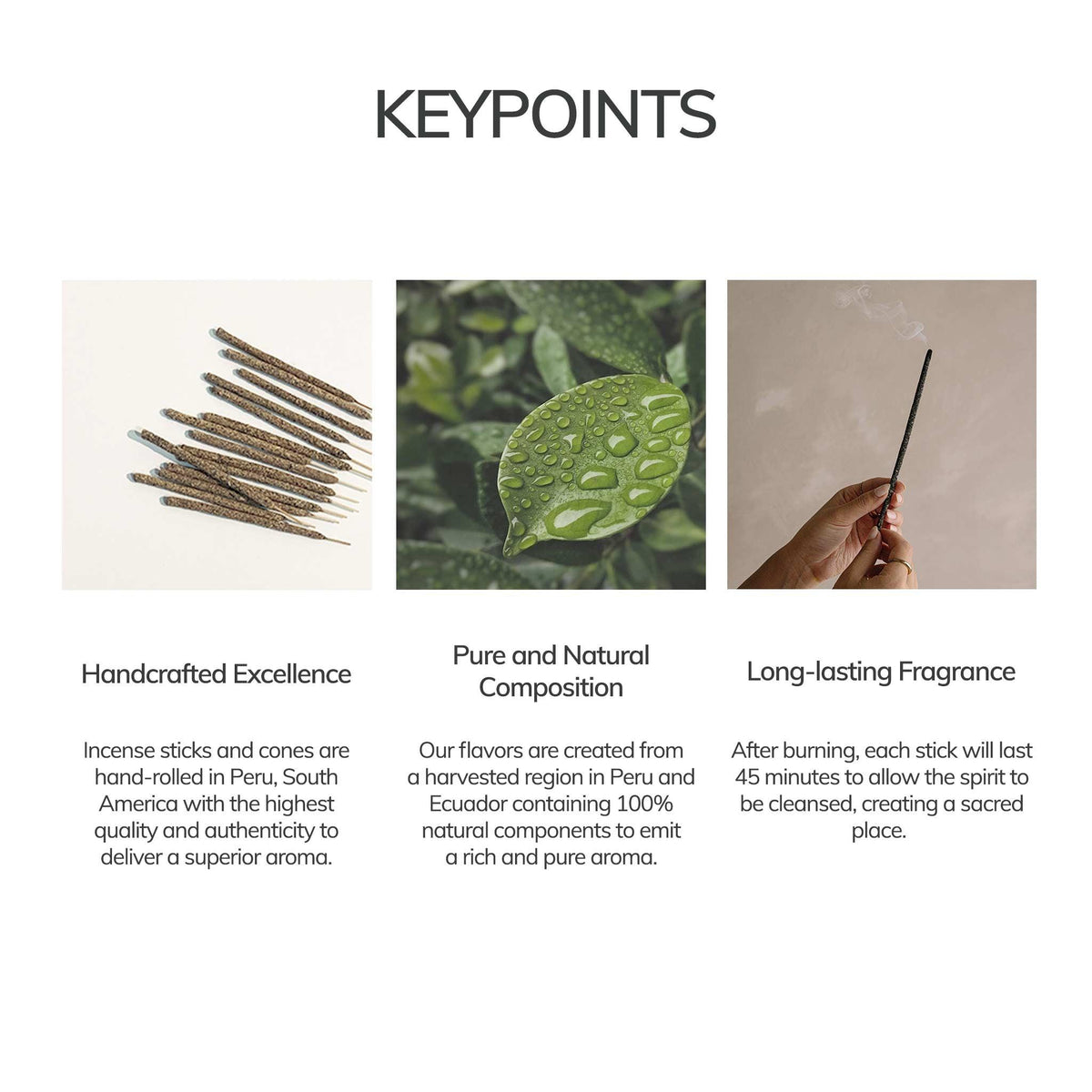 Palo Santo Hand-Rolled Incense Sticks | 7 Sticks