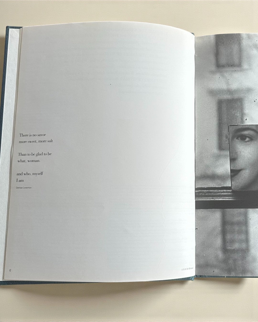 The Family of Woman Vintage Hardcover Coffee Table Book image 3