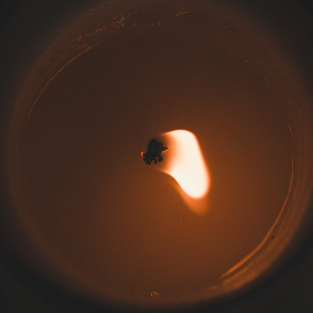 Late Checkout Scented Candle | Santal + Cardamom