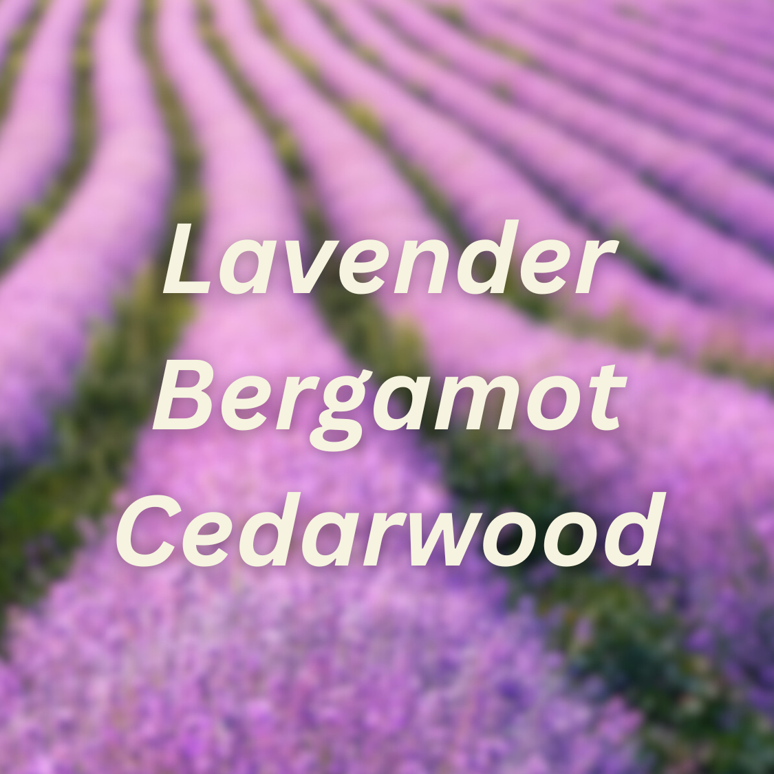 Lavender Fields Scented + Softening Dryer Balls