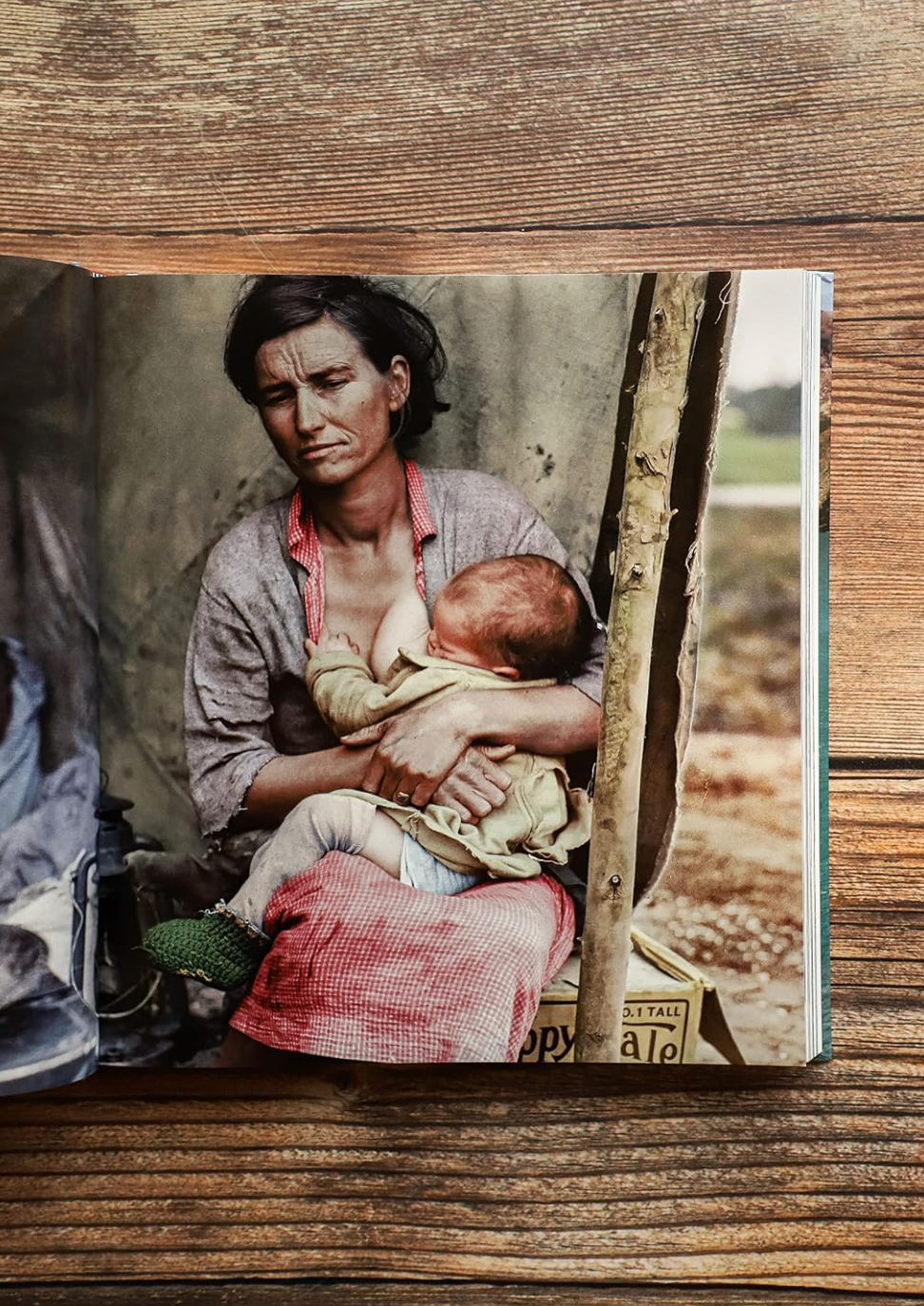 History as They Saw It: Iconic Moments from the Past in Color Hardcover