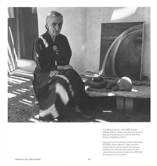 Through the Long Desert: Georgia O’Keeffe and Frank Lloyd Wright | Hardcover