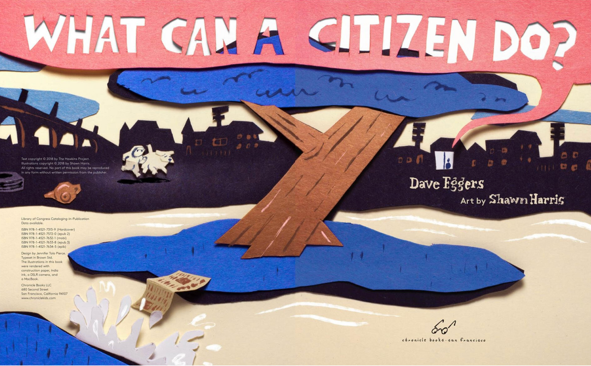 What Can a Citizen Do? | Hardcover Picture Book