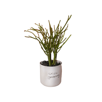 Honesty Pot White