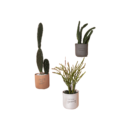 Honesty Pot Grey