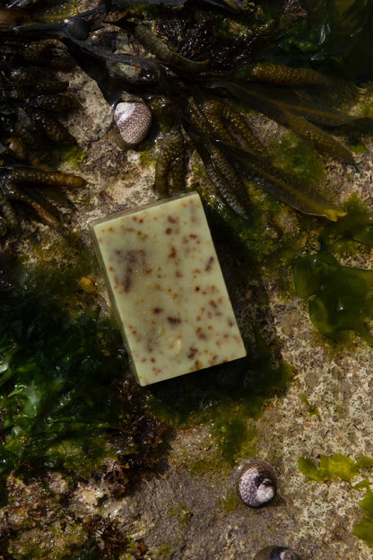 Sea Change Seaweed Tallow Soap | Neroli + Bladderwrack