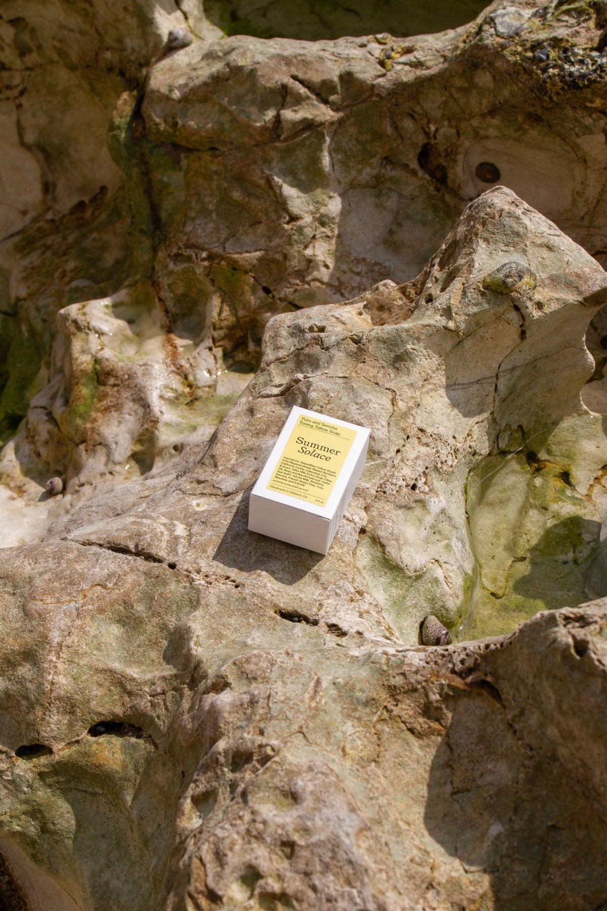 Yuzu + Sencha Tallow Soap | Green Tea + Algae